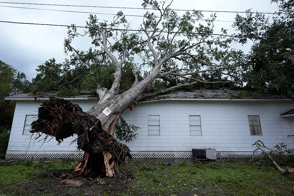 | Photo: AP/Eric Gay : A tree rests on Bethel Church after Beryl